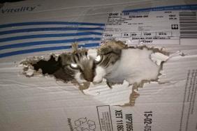 funny photos 1-16-18