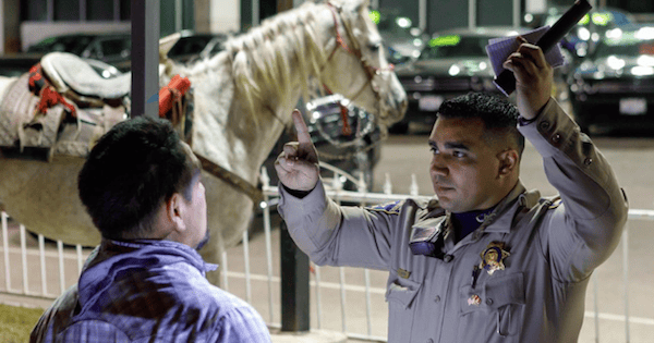 Man Rides Horse On Freeway, Arrested For DUI