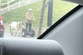 funny photos 3-19-18