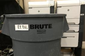 funny photos 3-22-18