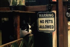 funny photos 3-27-18