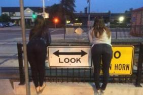 funny photos 5-15-18