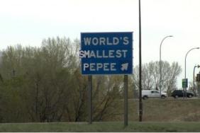 funny photos 5-18-18