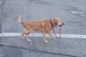 funny photos 6-15-18