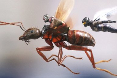 ant-man and the wasp 2018