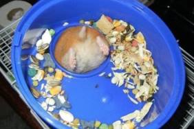 funny photos 7-18-18