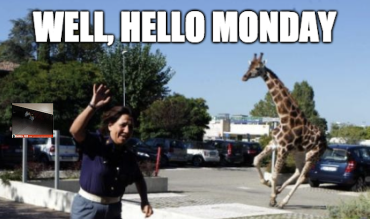 funny photos 10-22-18