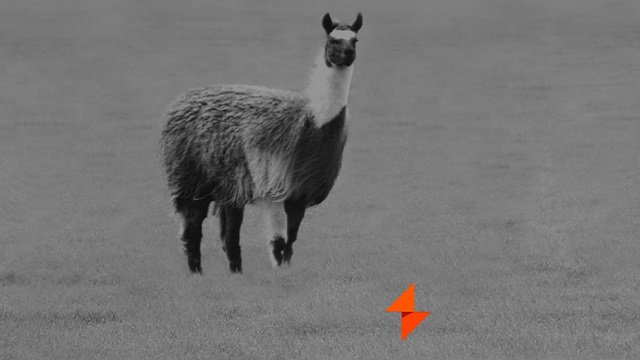 Winamp 6 Llama