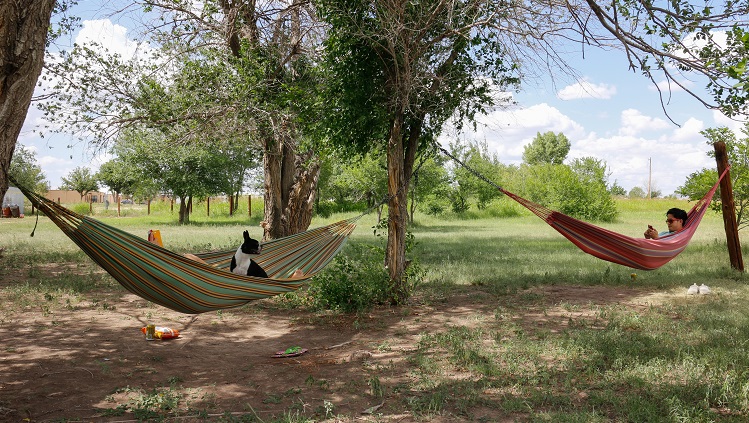 Camping Gadget Hammock