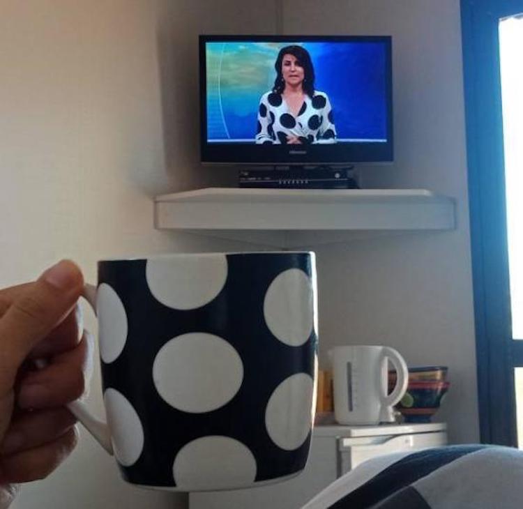 funny photos 11-7-2018