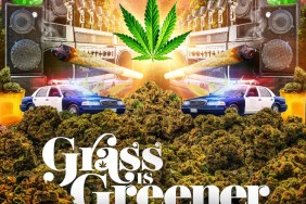 Weed Themed Movies For 4/20