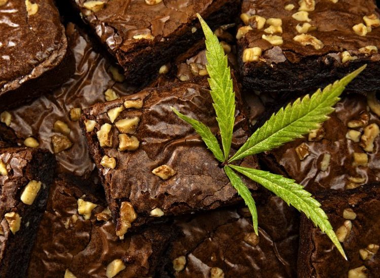 World's Largest Pot Brownie Might Be Best Party Favor of Our Lives