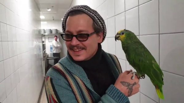 celebrity celebrities pet