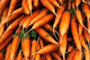 Carrot Recall List Stores Brands E Coli Outbreak Ecoli FDA 2024 CDC