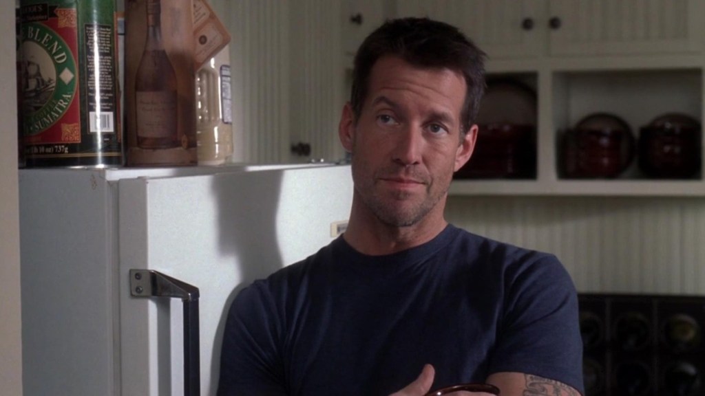 Desperate Housewives: Why Did James Denton’s Mike Delfino Leave?