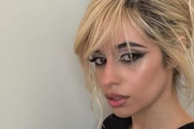 Camila Cabello stage fit