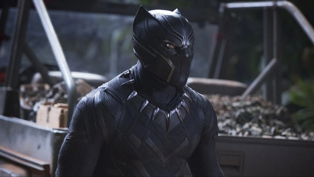recast Chadwick Boseman Black Panther