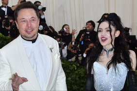 Grimes Elon Musk X Twitter