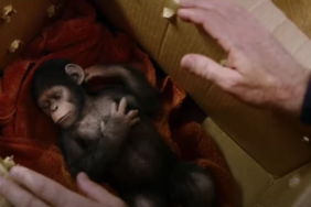 Fake Planet of the Apes 5 Trailer Brings Back Noa to Lead a New Kingdom