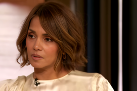 Halle Berry menopause sex life