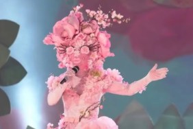 The Masked Singer: Who Went Home? Cherry Blossom?