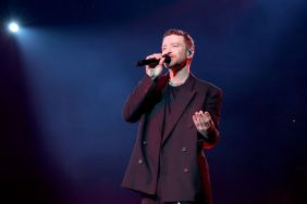 justin timberlake flight attendant