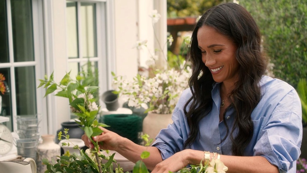 Meghan Markle Accused of Plagiarism Over Canceled Netflix Show