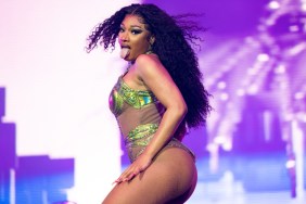 Megan Thee Stallion's Coachella Setlist Details Explained