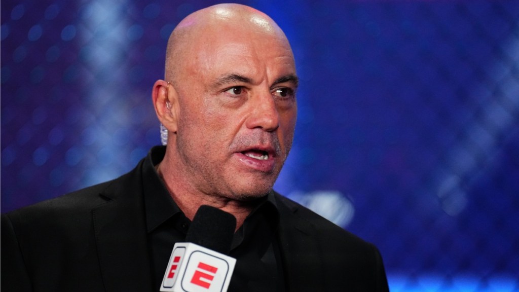 Joe Rogan Trolls Katy Perry's Blue Origin Spaceflight