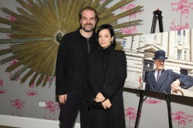 David Harbour Breaks Silence About Lily Allen Breakup