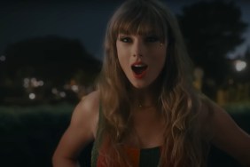 Taylor Swift Releases Fearless Cardigan to Celebrate Four-Year Anniversary