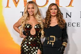 Beyonce mom breast cancer