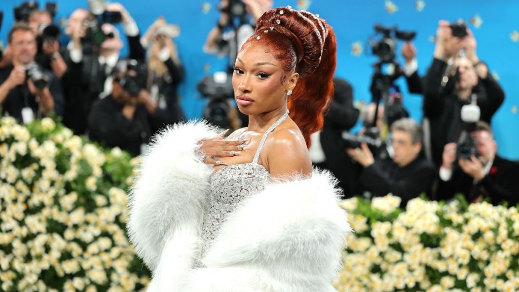 Megan Thee Stallion Met Gala ban