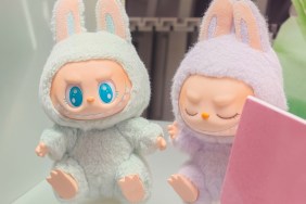 pop mart what are labubu dolls