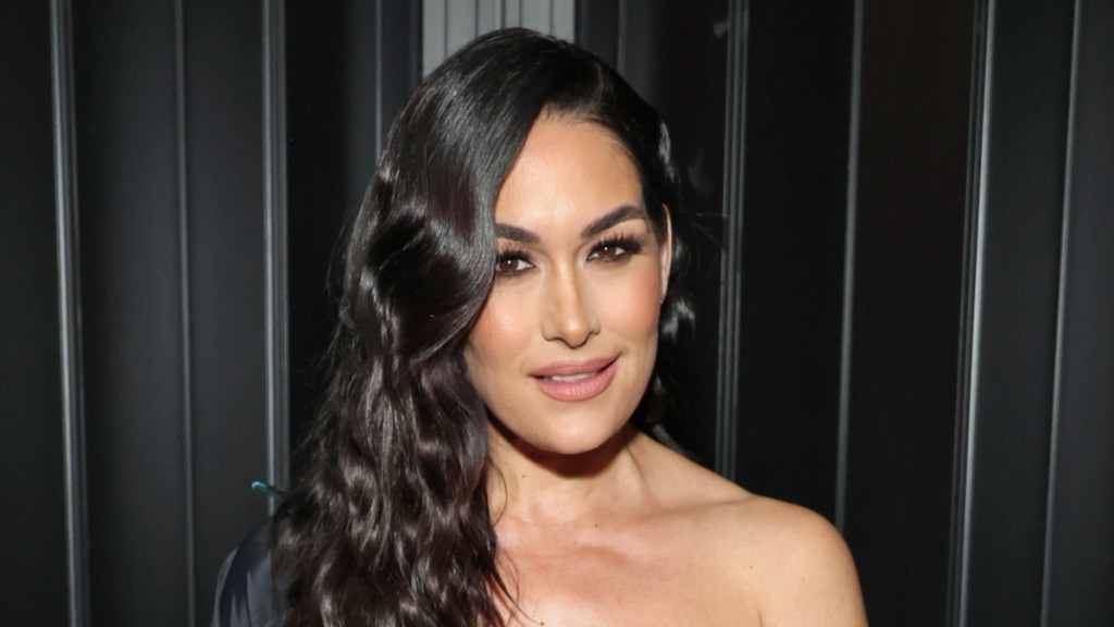 Who Is Brie Bella's Husband, Bryan Danielson? & What Is Their Relationship History?