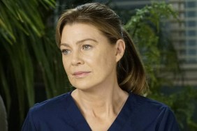Ellen Pompeo Was Detained by TSA for an Hour