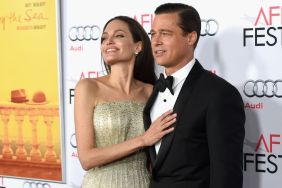 Brad Pitt & Angelina Jolie's Court Battles Are Not Over Yet — Report