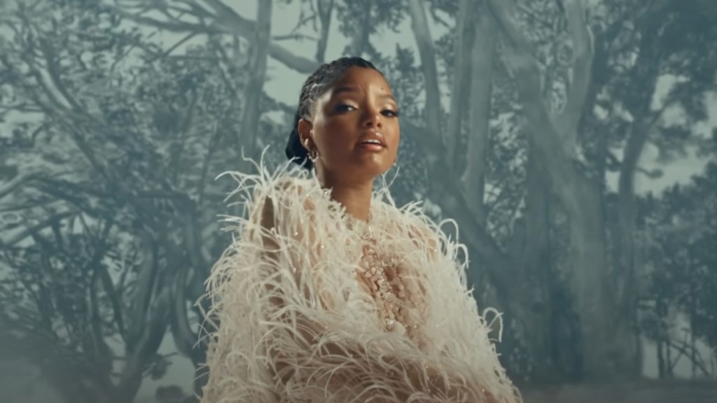 Halle Bailey’s Travel Plans with Baby Halo Could Be Stopped by Court