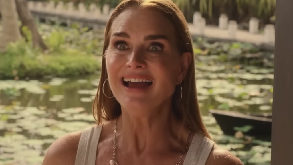 Brooke Shields' Interview Calling Out Meghan Markle Has Been Deleted