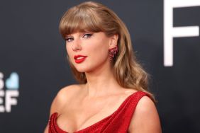 Taylor Swift stalker