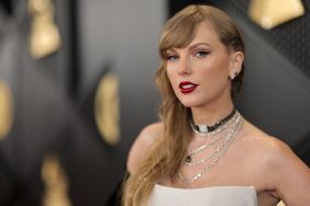 Taylor Swift fan gift serrina kerrigan