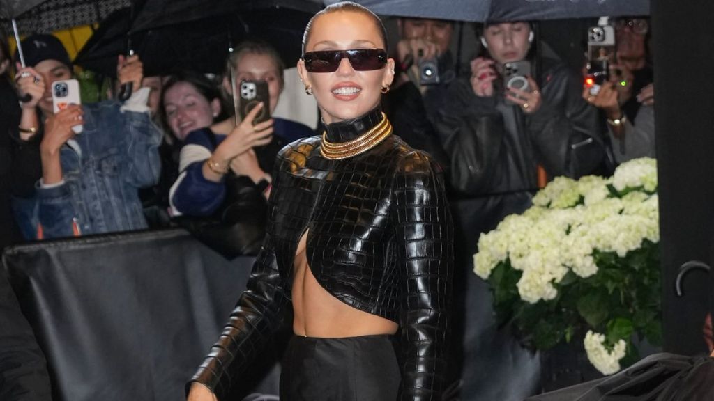 Miley Cyrus backlash fans ignoring rude