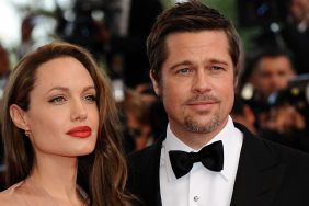 Angelina Jolie Brad Pitt divorce