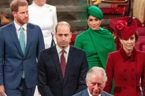 prince william prince harry