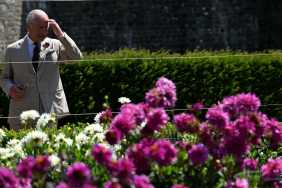 King Charles Criticized by Former Gardening Staff Over Issues, ‘Source’ Claims
