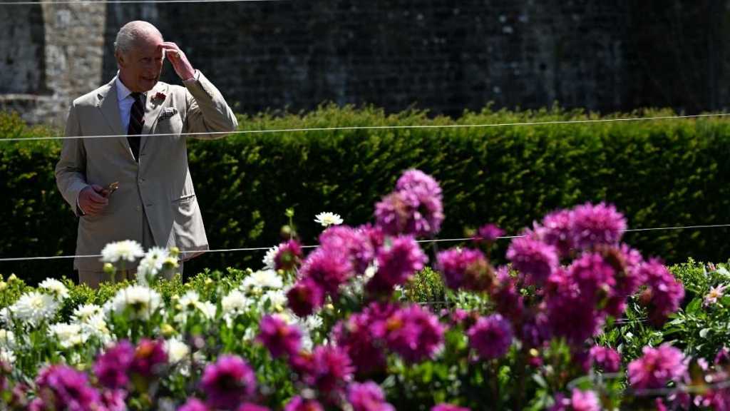 King Charles Criticized by Former Gardening Staff Over Issues, ‘Source’ Claims