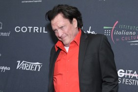 Michael Madsen's Cause of Death Reports Explained