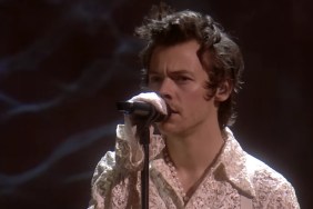 Fans Think Harry Styles Will Release Sex Toy Line