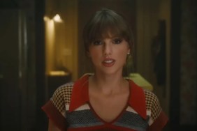 How Fans Reacted to Taylor Swift's Documentary News