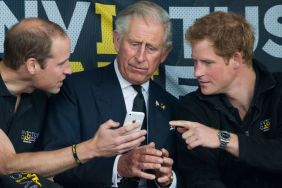 Prince William ‘Blindsided’ by Prince Harry & King Charles’ Royal Aides Meeting, ‘Source’ Claims